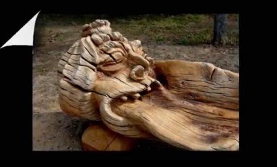 NAUJAIS TAKAIS MASČIO EŽERO PAKRANTE. TELŠIAI