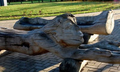 EŽERO PAKRANTĖ RUDENĖJANT 2017 Telšiai