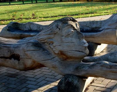 EŽERO PAKRANTĖ RUDENĖJANT 2017 Telšiai