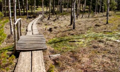 Ilgio ežero pažintinis takas (2012)