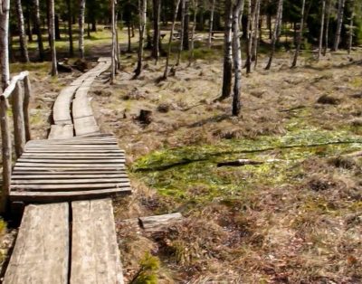 Ilgio ežero pažintinis takas (2012)