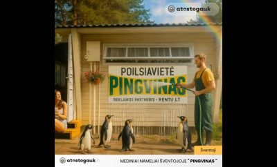 Atostogos Prie Baltijos jūros | Poilsiu namelių nuom „Pingvinas“