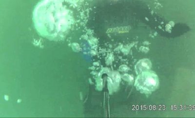 Skulptūros Galvės ežero dugne