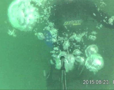 Skulptūros Galvės ežero dugne