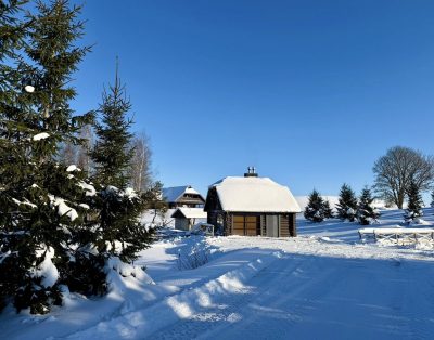 Žiemos grožis ir pirtelės šiluma
Atsipalaiduokite gamtos apsuptyje – privati pi…