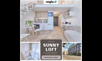 Sunny loft 3 – Loftos stiliaus apartamento nuoma Vilniaus centre
