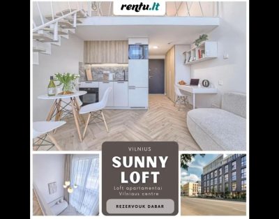 Sunny loft 3 – Loftos stiliaus apartamento nuoma Vilniaus centre