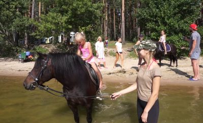 Arkliukai pliaže prie Kertuojos ežero 2018