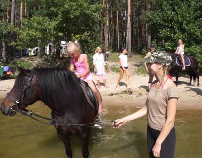 Arkliukai pliaže prie Kertuojos ežero 2018