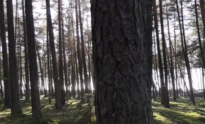 SAVAITGALIO PAMĄSTYMAI PRIE JŪROS – AKIMIRKOS