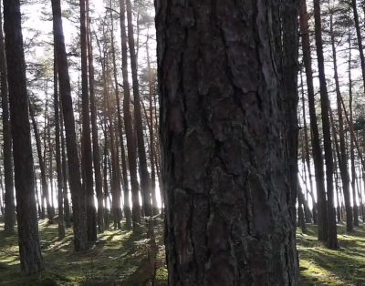 SAVAITGALIO PAMĄSTYMAI PRIE JŪROS – AKIMIRKOS