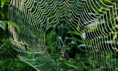 Ir štai artėjo Rugpjūtis.#augustishere #poilsionameliai #nameliaigamtoje #ato…