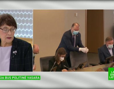 Kokia bus politinė vasara? Pokalbis su Jūrate Novagrockiene | Laba diena, Lietuva