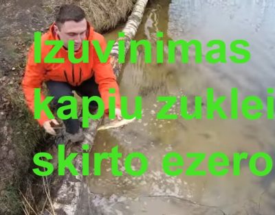 Ezeras karpiu žūklei. Išuvinimas licenzinio ežero skirto karpių žvejybai.