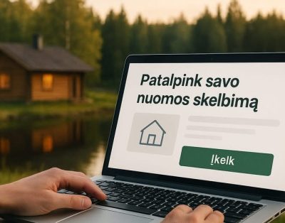 Sveiki, namelių nuomotojai!Pastebėjau, kad daug kas skelbiate savo namelius t…