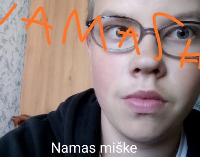 namas miške #2