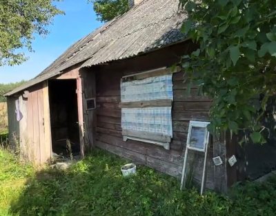 Parduodama sodyba šalia Alsetos (Ruopiškio) ežero, Alsetos kaime, Rokiškio rajone.
