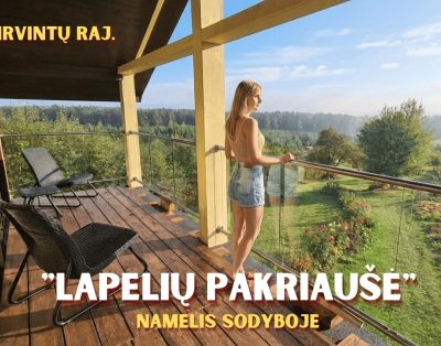 Namelis sodyboje „Lapelių pakriaušė” – Poilsis gamtoje Lietuvoje su pirtimi