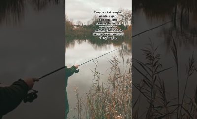 Žvejyba – mano aistra ir poilsis gamtoje. Tikros žvejybos, tikri laimikiai. #fishing  #lithuania