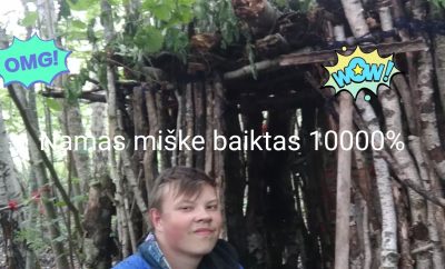 namas miške baigtas #8 10000
