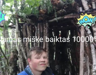 namas miške baigtas #8 10000