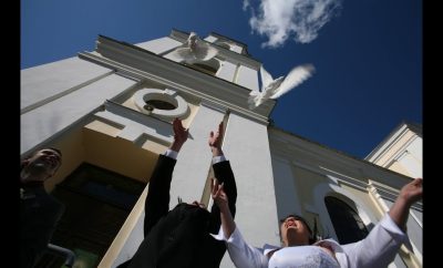 BALTI BALANDŽIAI VESTUVĖMS, BALTŲ BALANDŽIŲ NUOMA VESTUVĖMS VISOJE LIETUVOJE, TEL. 8658 10850