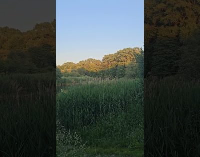 Dangės slėnis, Klaipėda +18°C 21:46 2024 m. birželio 4 d. #Klaipėda #vasara #Lietuva #Dangė #Danė