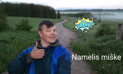Namelis miške #3