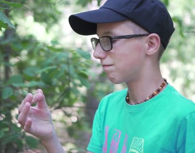 Saugaus elgesio gamtoje taisyklės