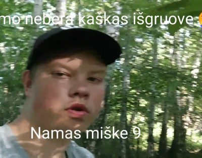 Namas miške 9 nebera išgriautas