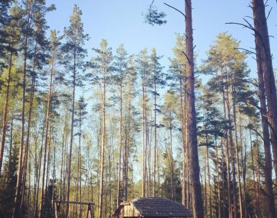 Taip atrodo poilsis gamtos apsuptyje…
#moletai #gamta #vasara #poilsisgamtoje…