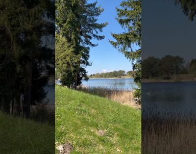 Progulka vыzе ozеra. Velžai Lietuva. Lietuva #krasota #ozero #priroda #ežero #lietuva #lithuania