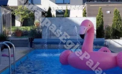 Trumpalaikė Nuoma
Malūno Vilos
Malūno g.1 Palanga
2k.butai pas Egle Palanga
+37…