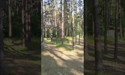 #ramroadtrip #balticstates #2025 #balticsea #lithuania #latvia #estonia