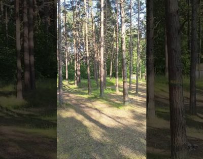 #ramroadtrip #balticstates #2025 #balticsea #lithuania #latvia #estonia