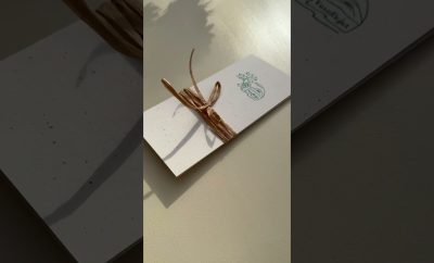 VasaRojaus Dovanų Kuponas. Poilsis Gamtoje. Jurtos nuoma. Kupolų nuoma. Glamping Lietuvoje 🌿