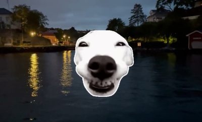 Sauliaus atostogos Norvegijoje ir Lietuvoje 2025#emigrantai #labrador#vlog #nature#žvejyba