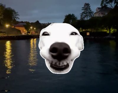 Sauliaus atostogos Norvegijoje ir Lietuvoje 2025#emigrantai #labrador#vlog #nature#žvejyba