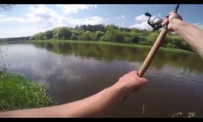 Pavasario žiobriai Šventojoje