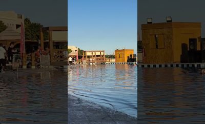 Sunrise Arabian Atostogos 2025 #Egiptas #viešbutis #Šarmelšeichas