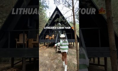 Lithuanian tree house tour 💃🏾🍁 #lithuania #cabin #treehouse #shorts #short