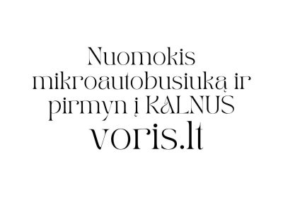 Keleivinių ir Krovinių mikroautobusiukų NUOMAAtsiėmimo vieta Alytuje arba Kau…