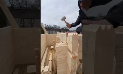 Log cabin building #buildingalogcabin #cabinbuilding #logcabin #cabin