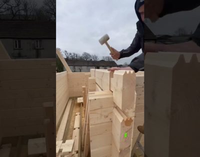 Log cabin building #buildingalogcabin #cabinbuilding #logcabin #cabin