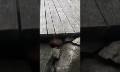 Kabina miške Lietuvoje