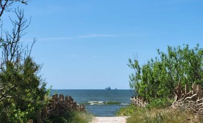 Dienos prie jūros: poilsis miške ir vandens pramogos