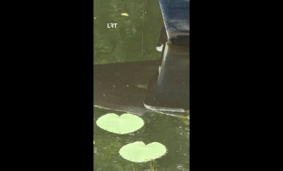 Kaimo turizmo sodybos nesulaukia poilsiautojų
