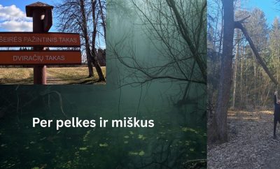 Šeirės pažintinis takas | 10 km žygis + Platelių ežero vaizdai