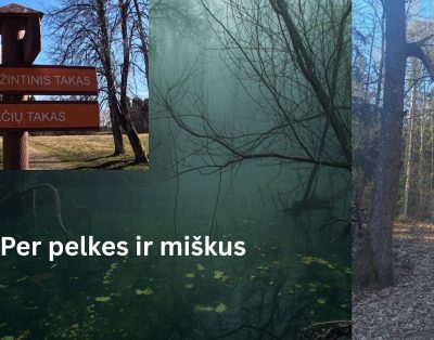 Šeirės pažintinis takas | 10 km žygis + Platelių ežero vaizdai