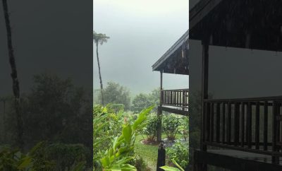 Cabin Rental — Liamuiga Natural Farm, St.Kitts — https://visitlnf.com/